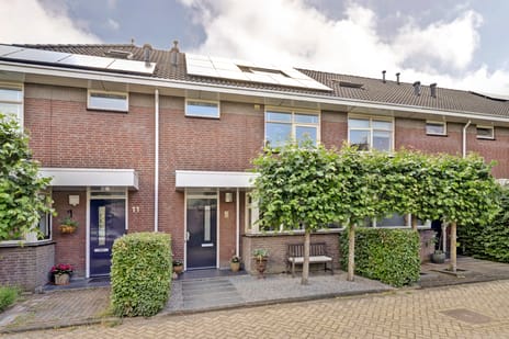 De Twijnen thumbnail