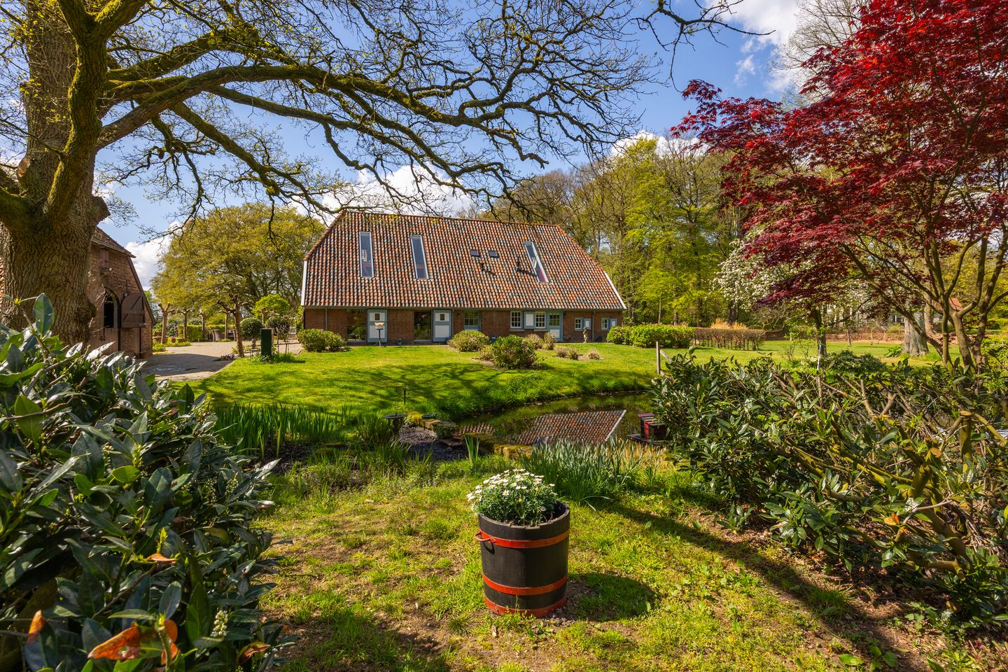 Foto 50 van 't Rijkenbarg 1