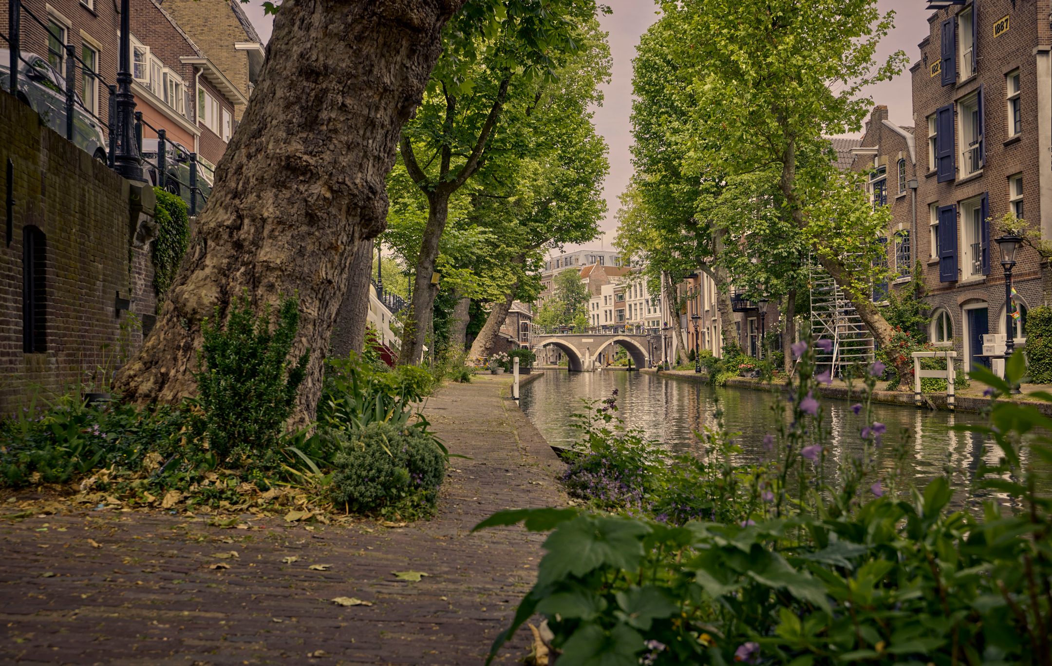 Foto 45 van Oudegracht 401-CN