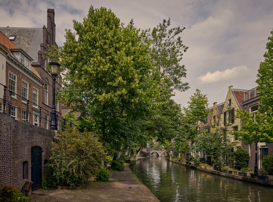 Foto 46 van Oudegracht 401-CN