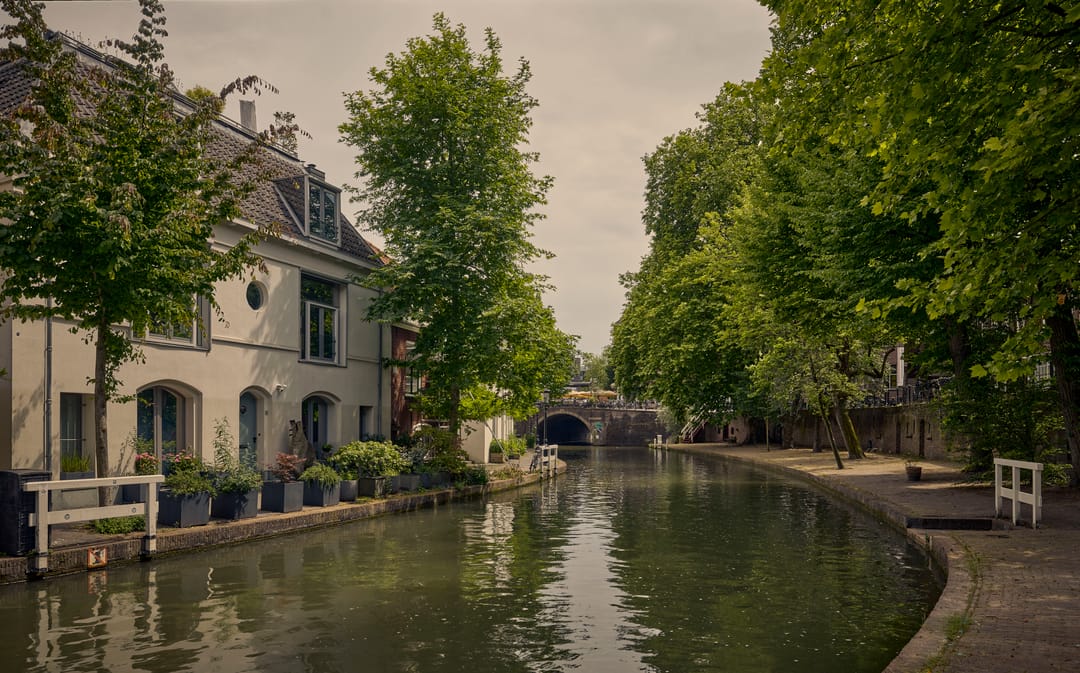 Foto 47 van Oudegracht 401-CN