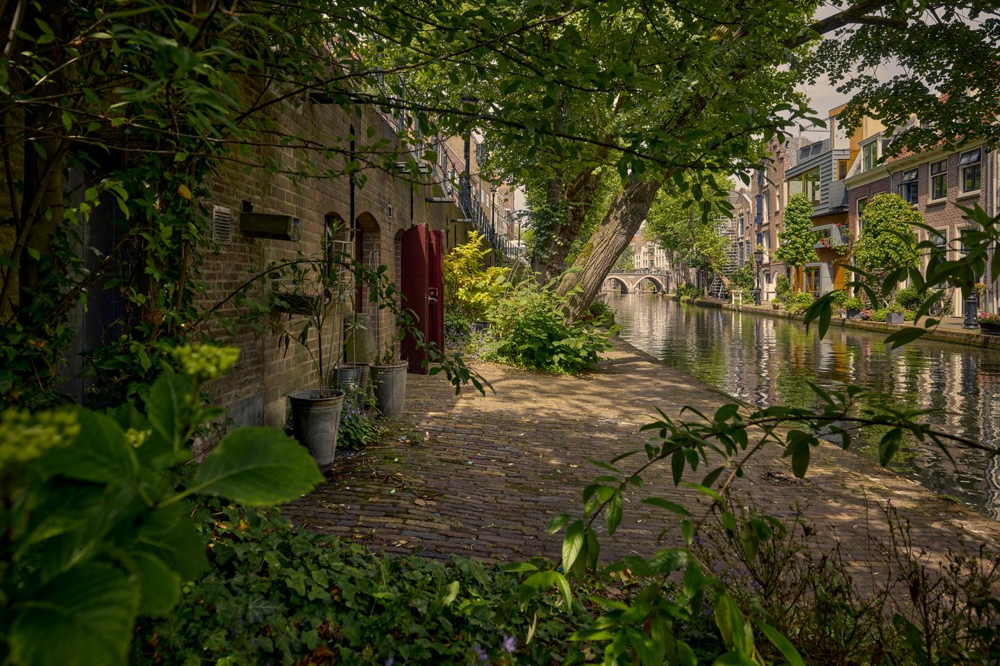 Foto 49 van Oudegracht 401-CN