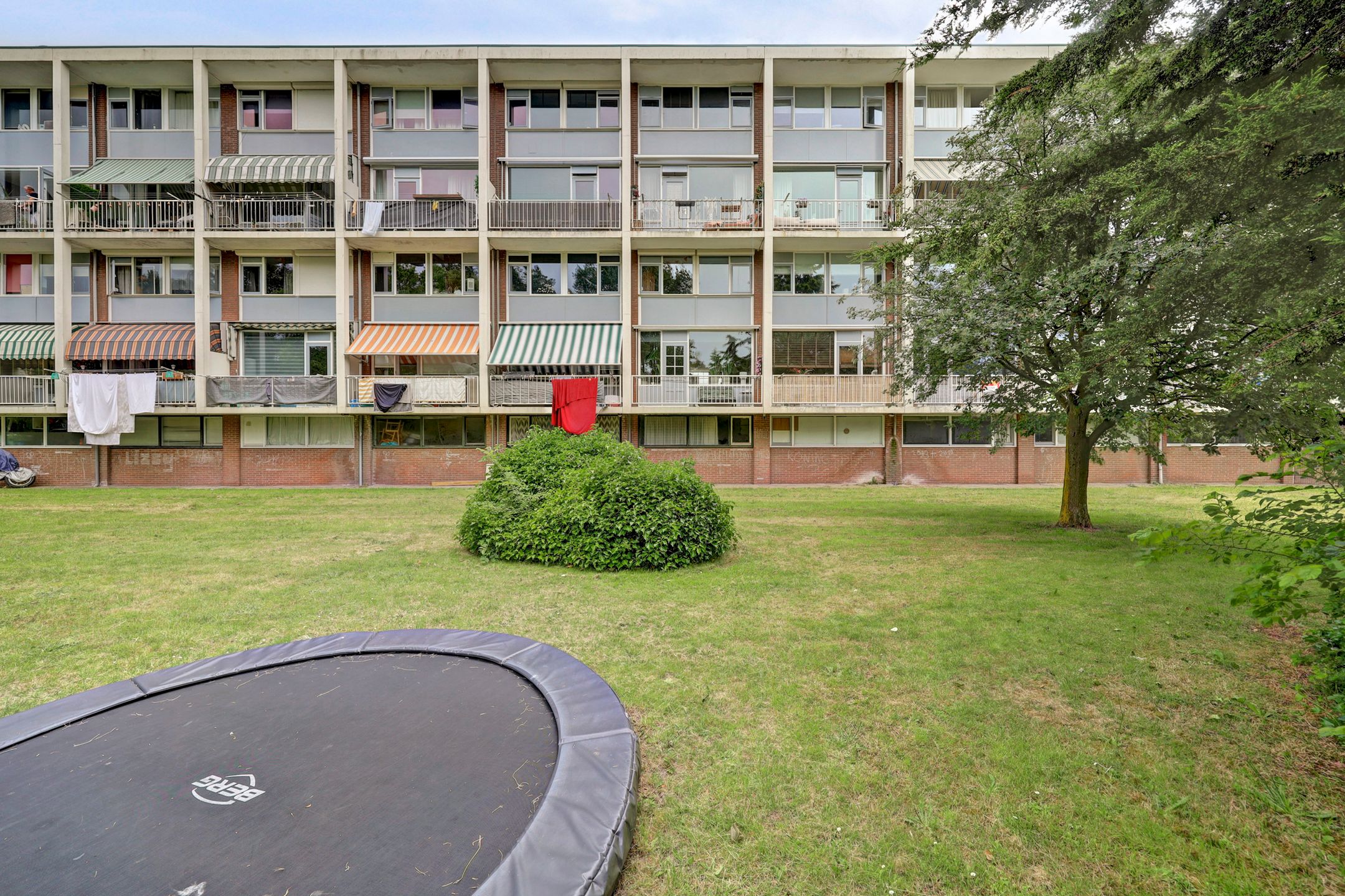 Foto 42 van Thorbeckestraat 34
