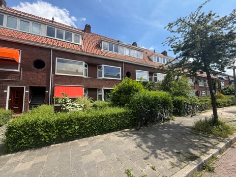 Rijnstraat thumbnail