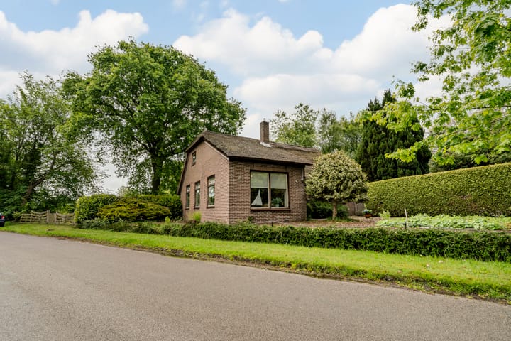 Foto 4 van Leeuwte 2