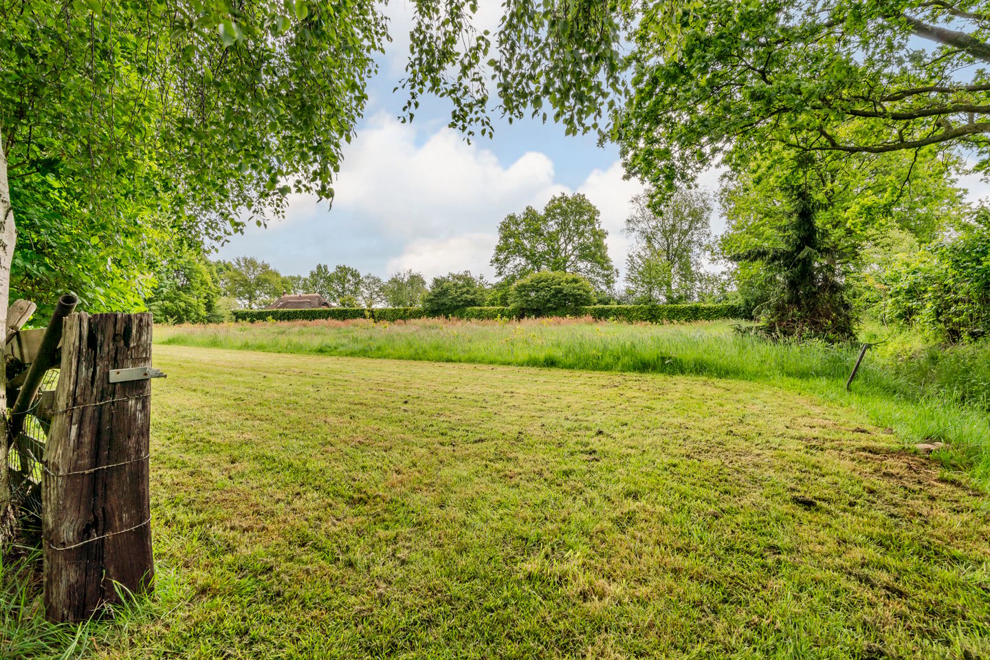 Foto 44 van Leeuwte 2