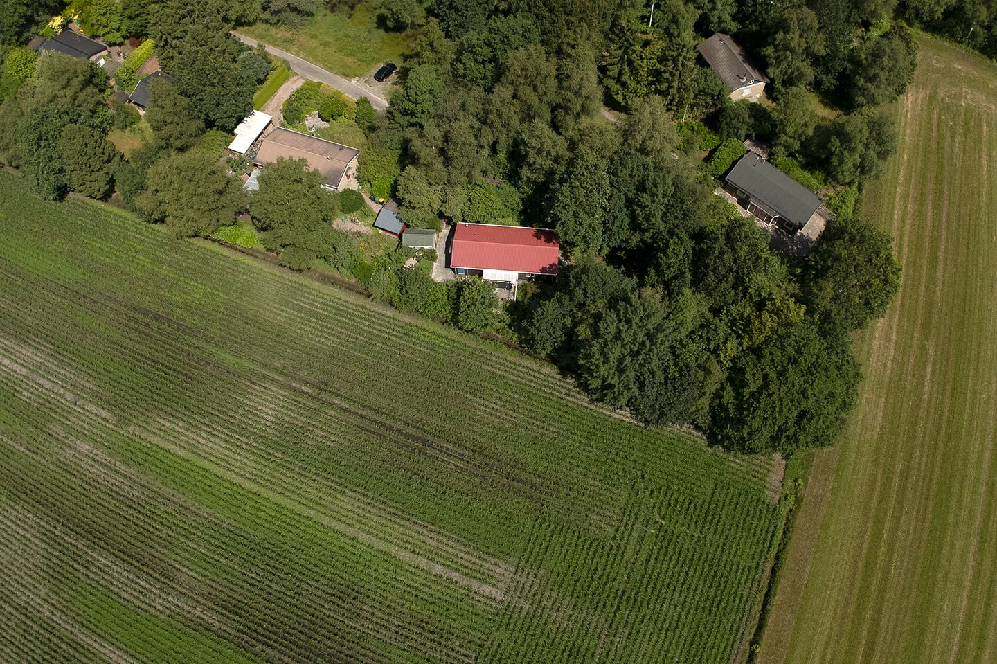 Photo 50 of Hendrik Reindersweg 28-116