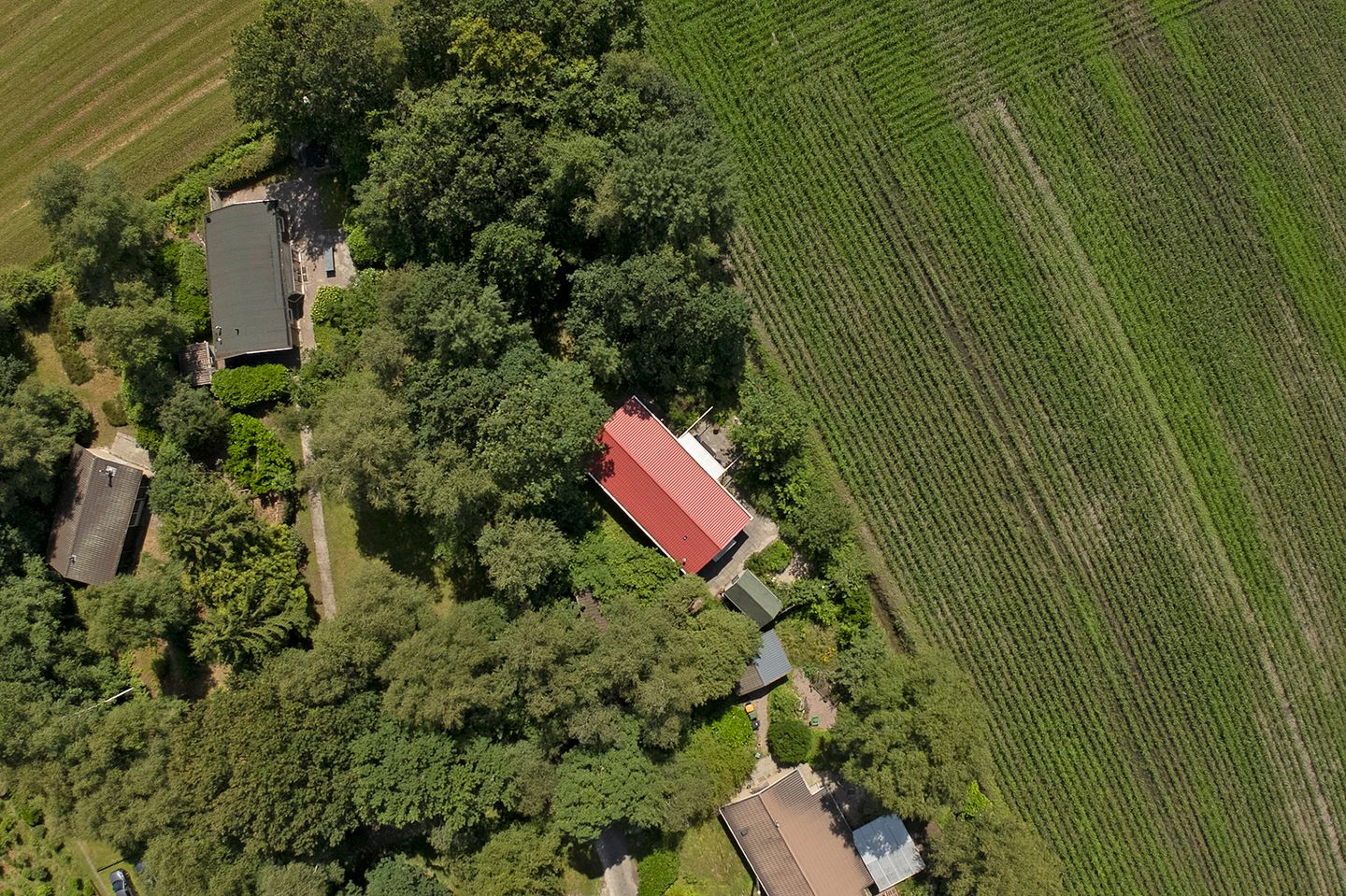Photo 49 of Hendrik Reindersweg 28-116