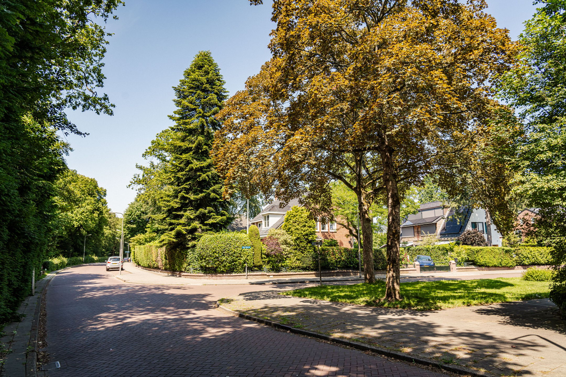 Foto 45 van Bosbeeklaan 21