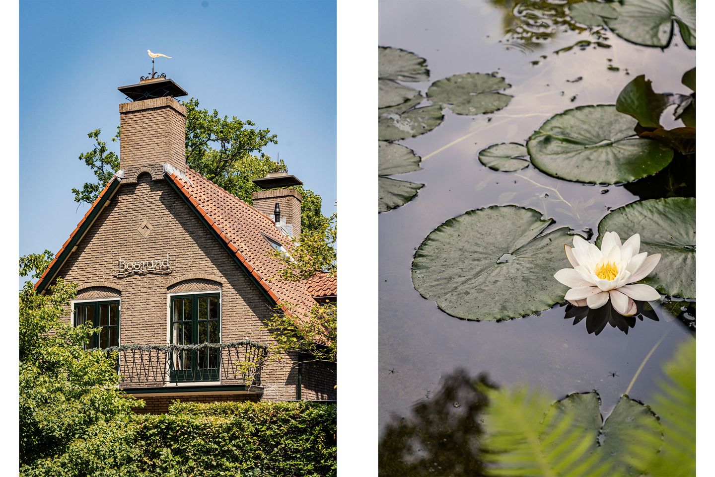 Foto 5 van Bosbeeklaan 21