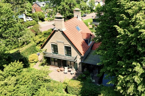 Bosbeeklaan thumbnail