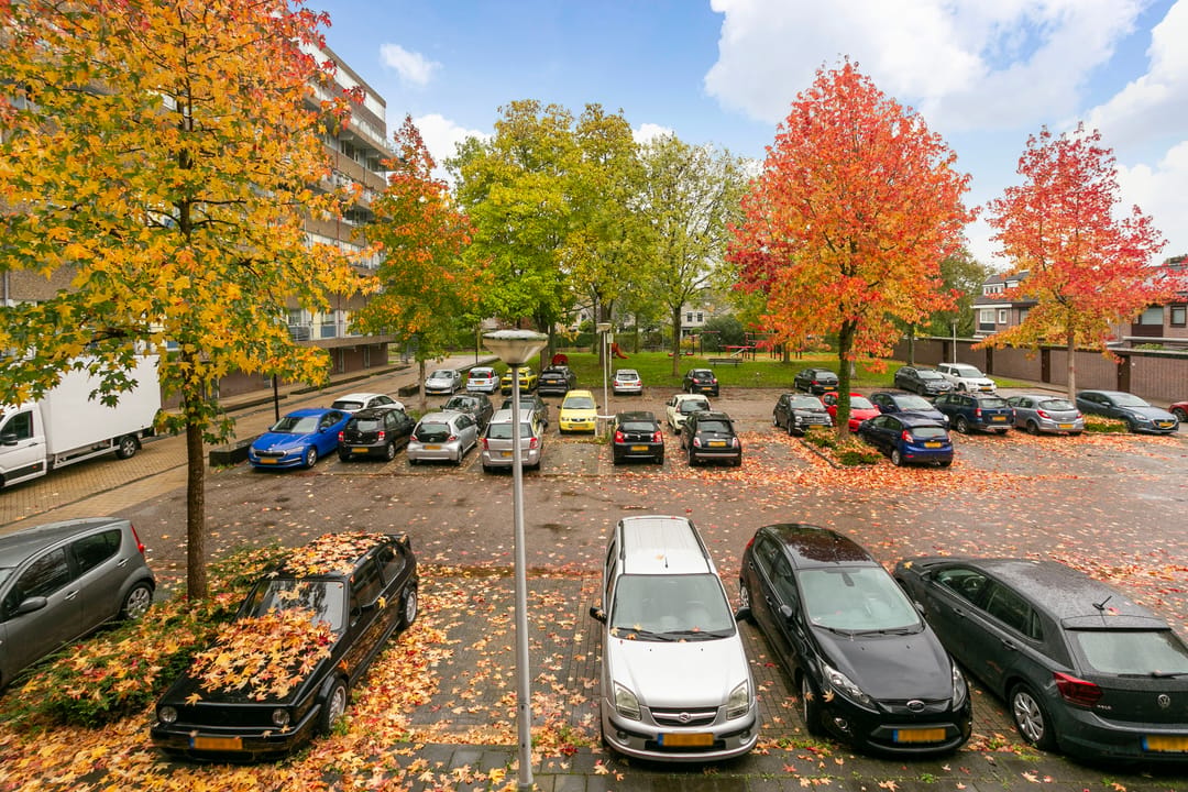 Photo 8 of Bohortplaats 18