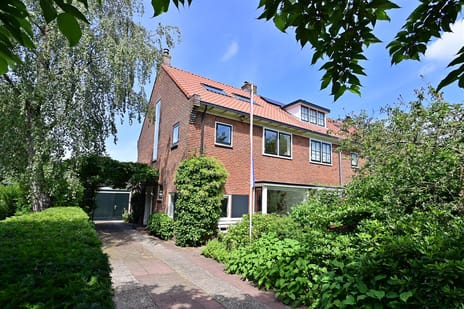 Moerbeilaan thumbnail