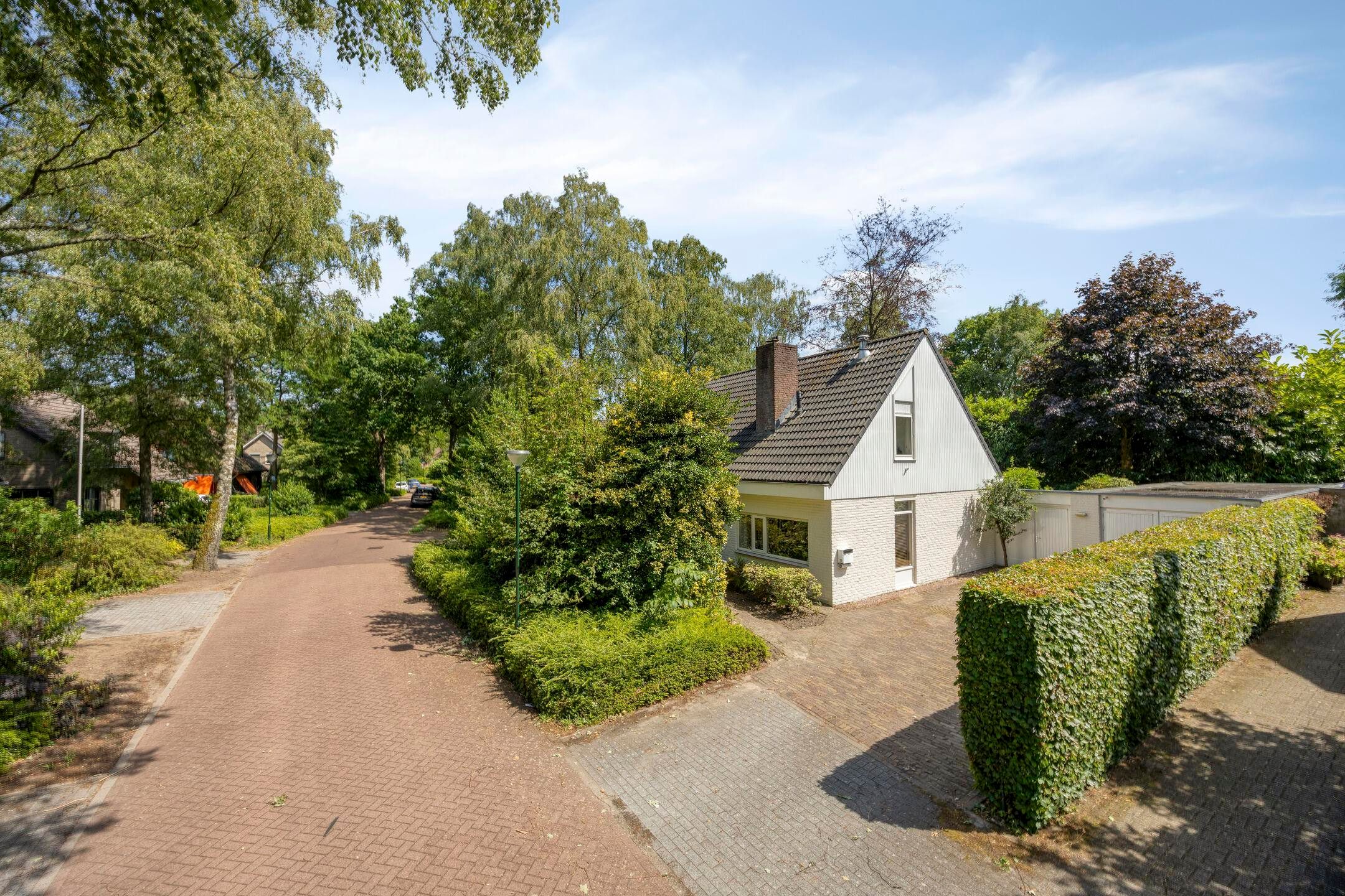Photo 39 of Wegedoorn 31