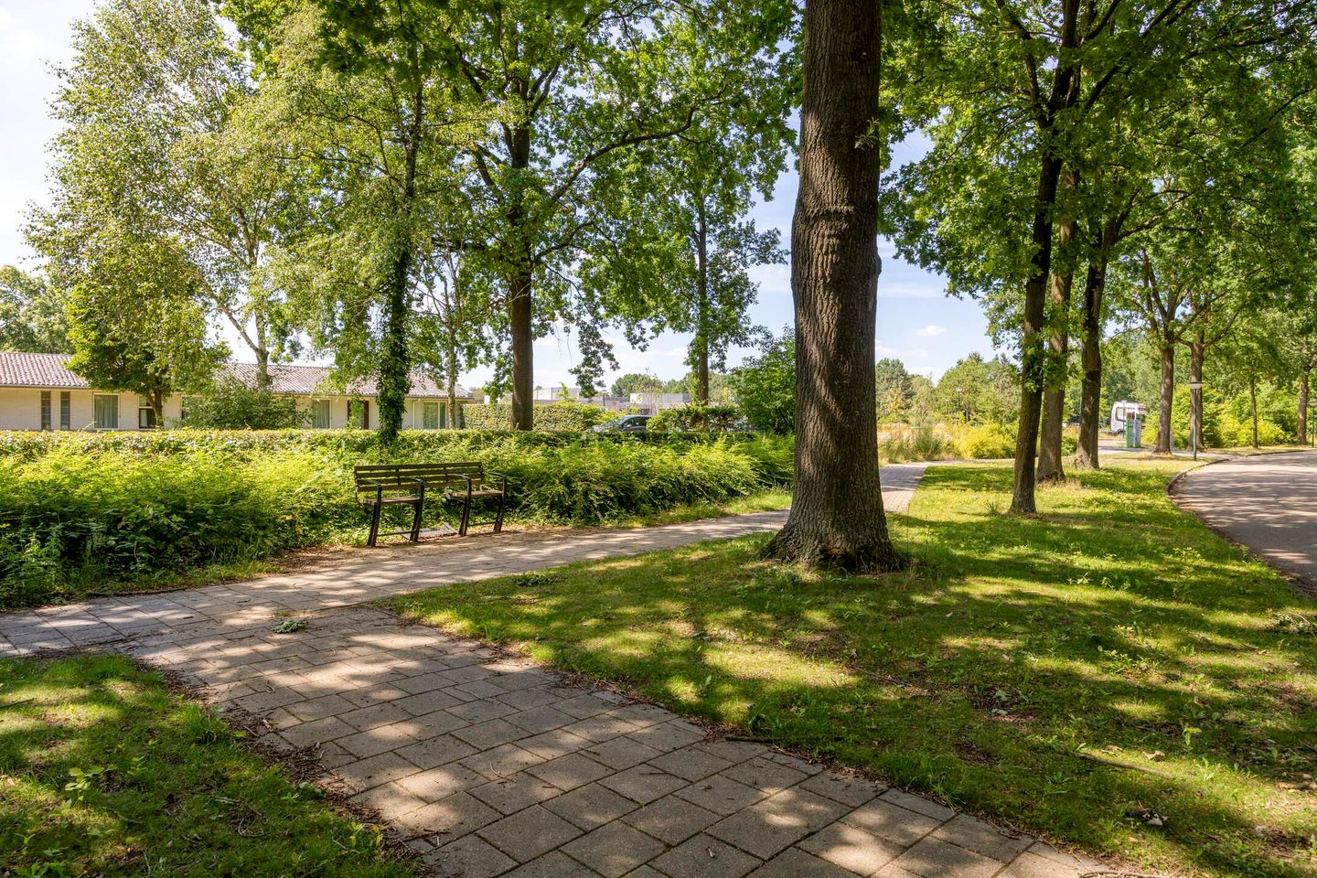 Foto 44 van Wegedoorn 31