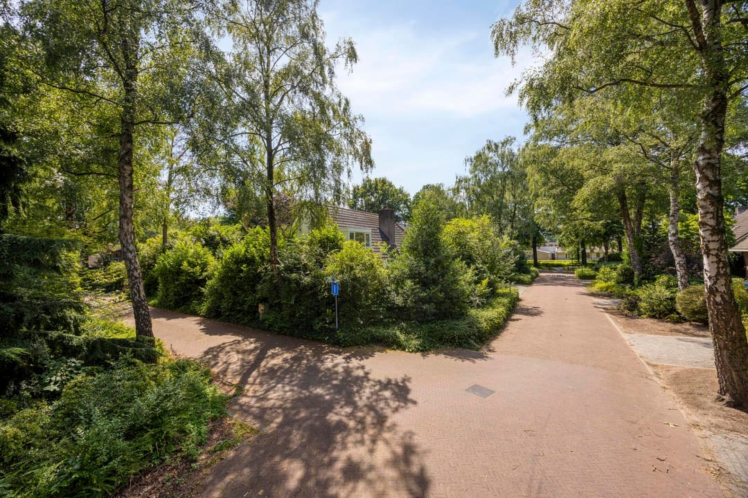 Photo 41 of Wegedoorn 31