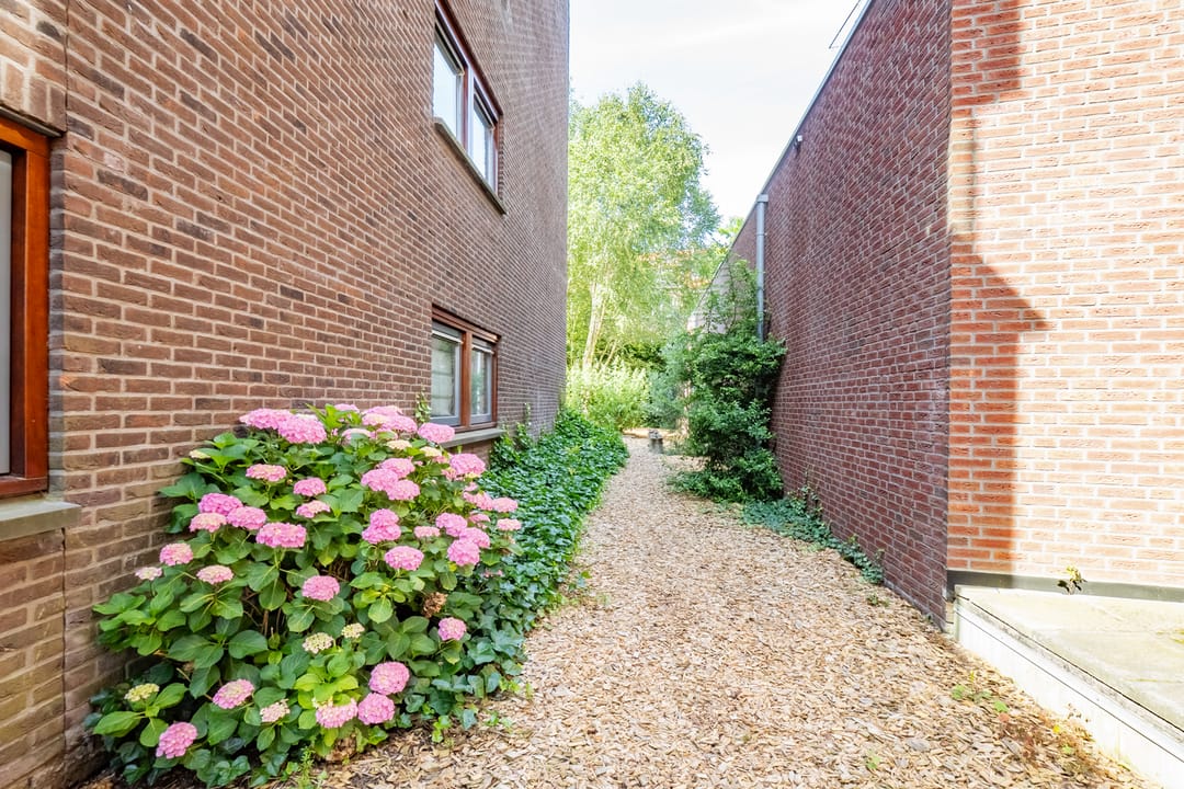 Photo 56 of Westerdijk 14