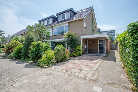 Bosveen thumbnail