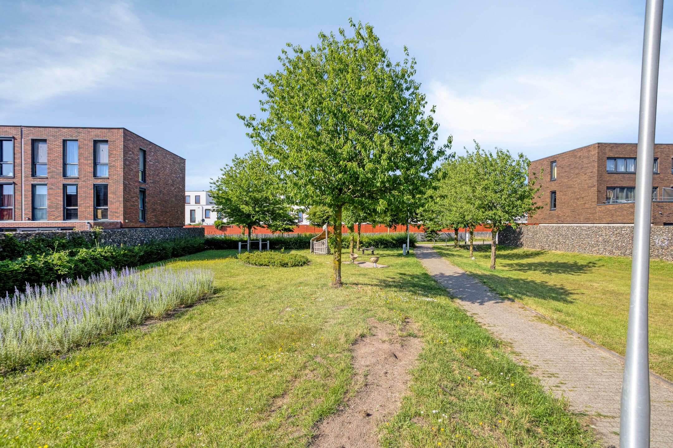Foto 42 van Wijboschstraat 100