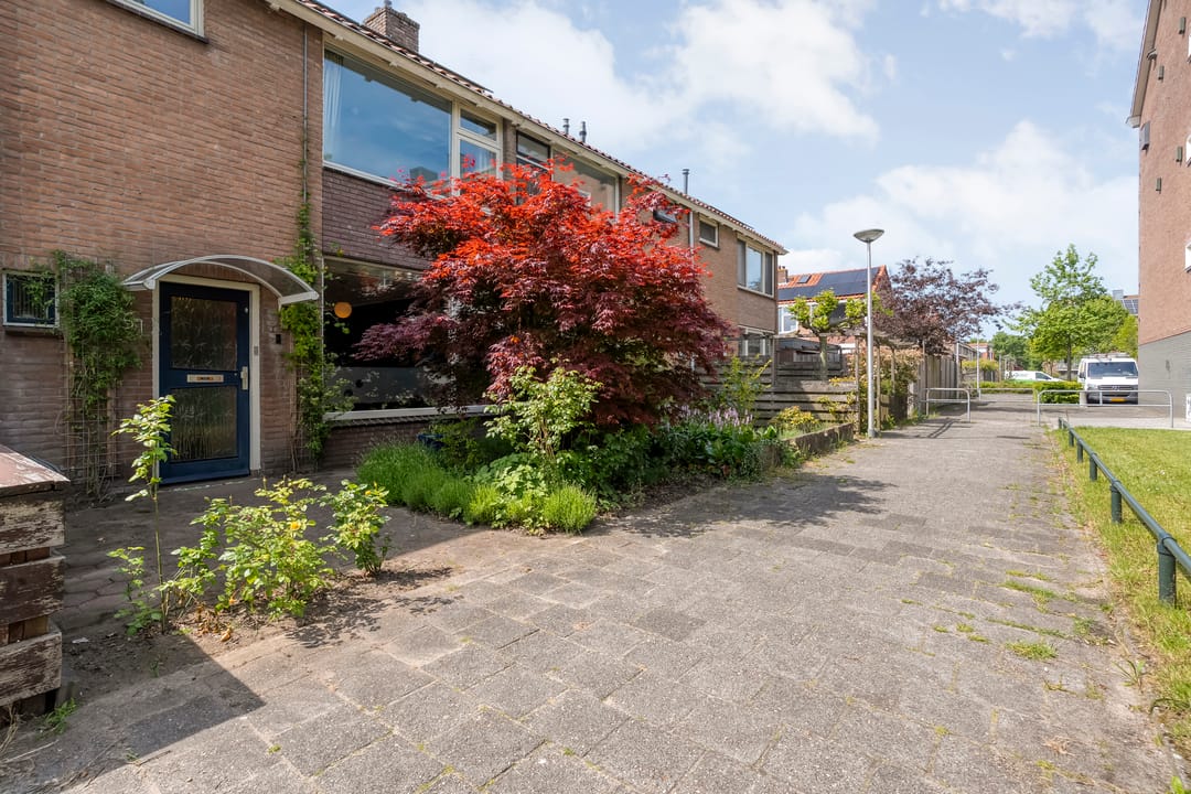 Foto 46 van Praetoriusstraat 51