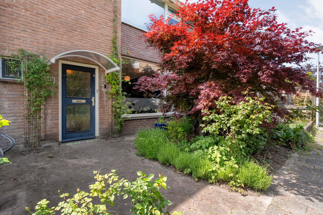 Foto 41 van Praetoriusstraat 51