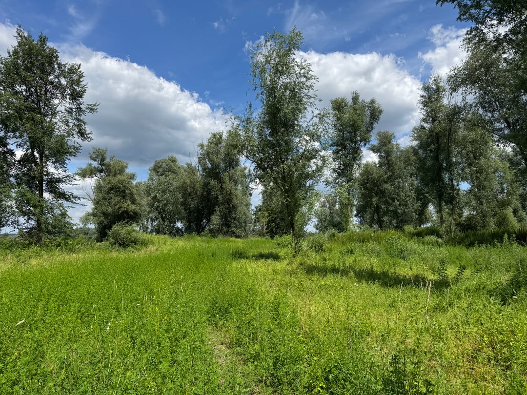 Foto 16 van Rijnbandijk 28