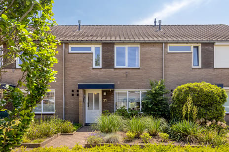 Korenbloemstraat thumbnail