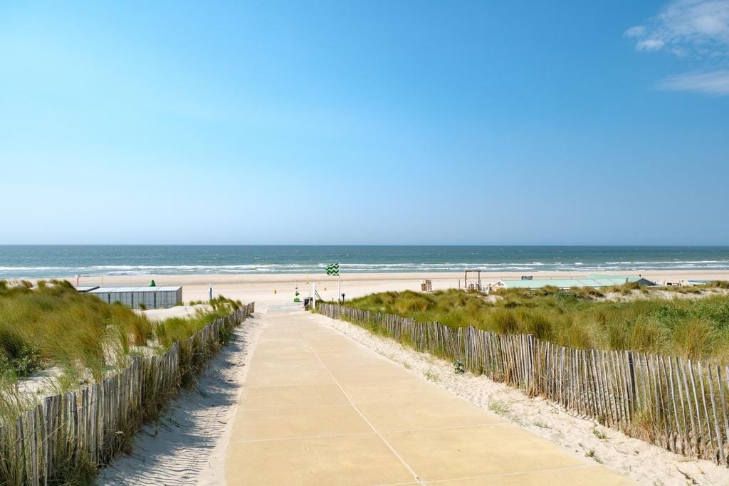 Foto 3 van Zeekoet 46