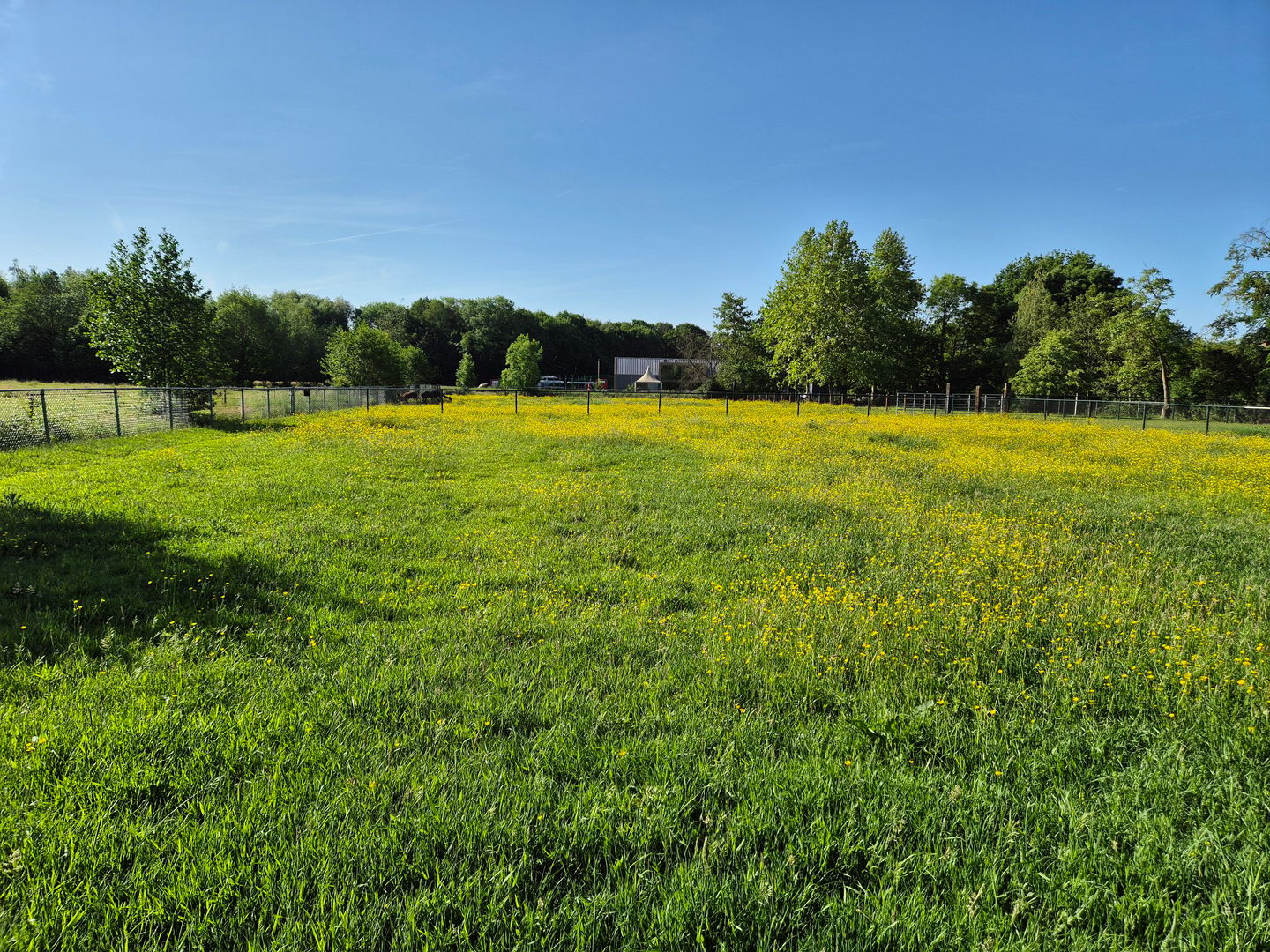 Bekijk foto 3 van Zeumerseweg