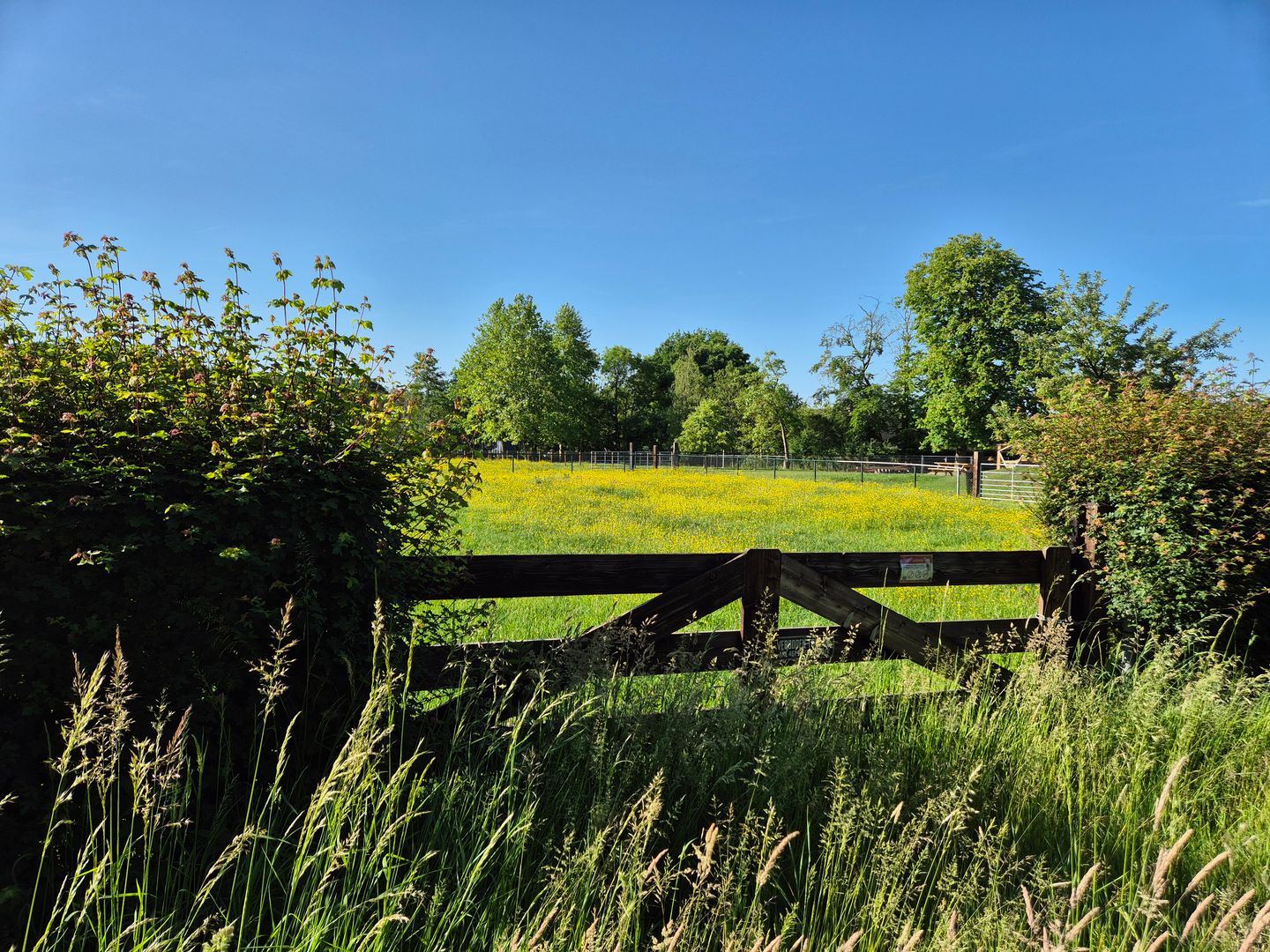 Zeumerseweg - Voorthuizen - Afbeelding 1