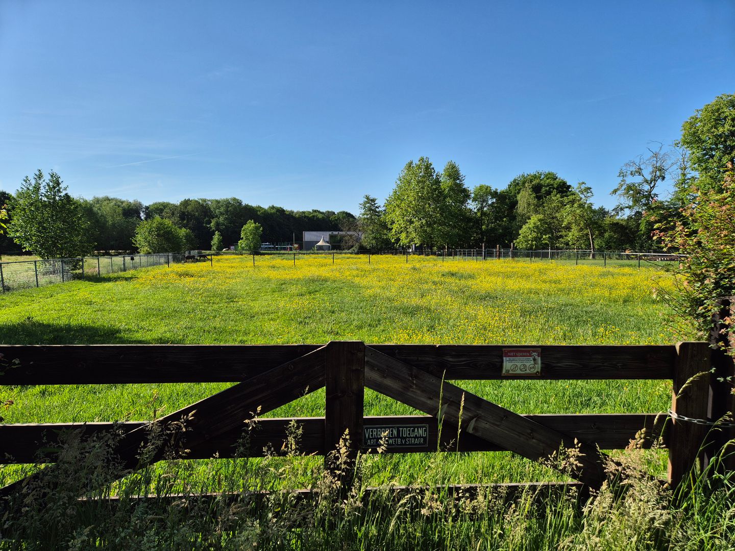Bekijk foto 2 van Zeumerseweg