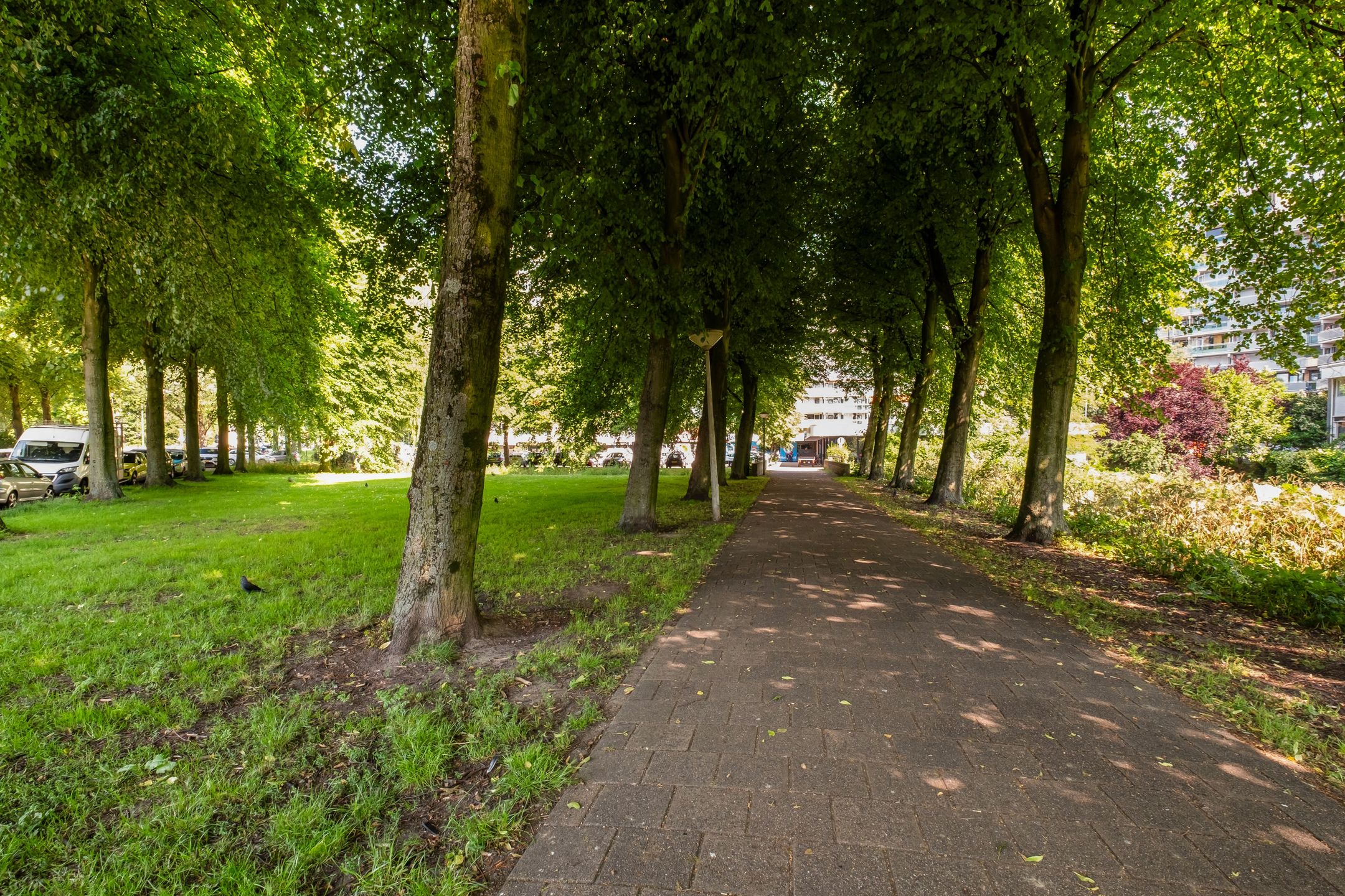 Photo 18 of Forellendaal 50