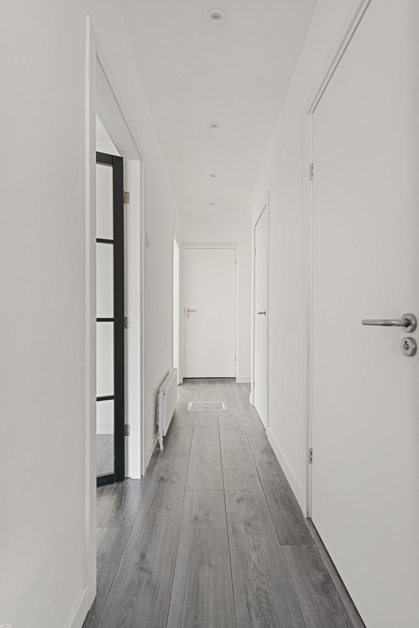 Photo 39 of Linnaeusstraat 61