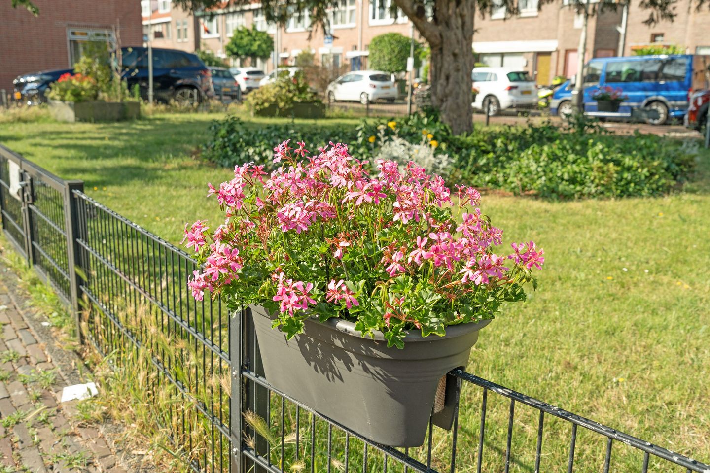 Photo 50 of Linnaeusstraat 61