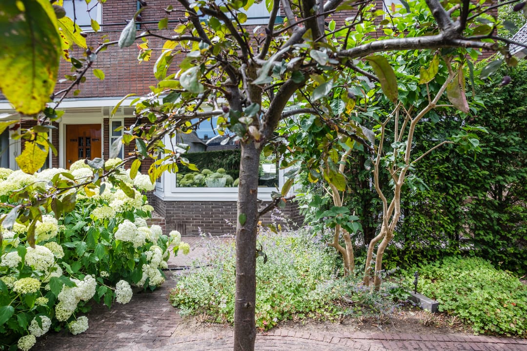 Foto 46 van Burgemeester Tenkinkstraat 28