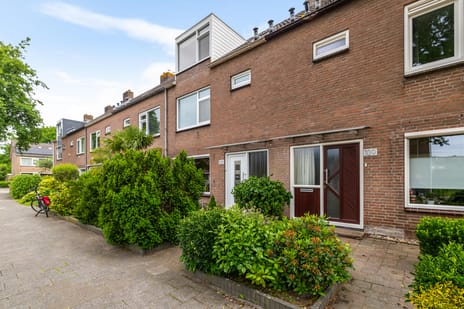 Elzenlaan thumbnail