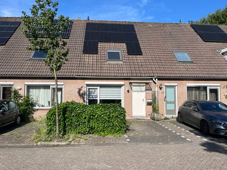 Pinksterbloem thumbnail