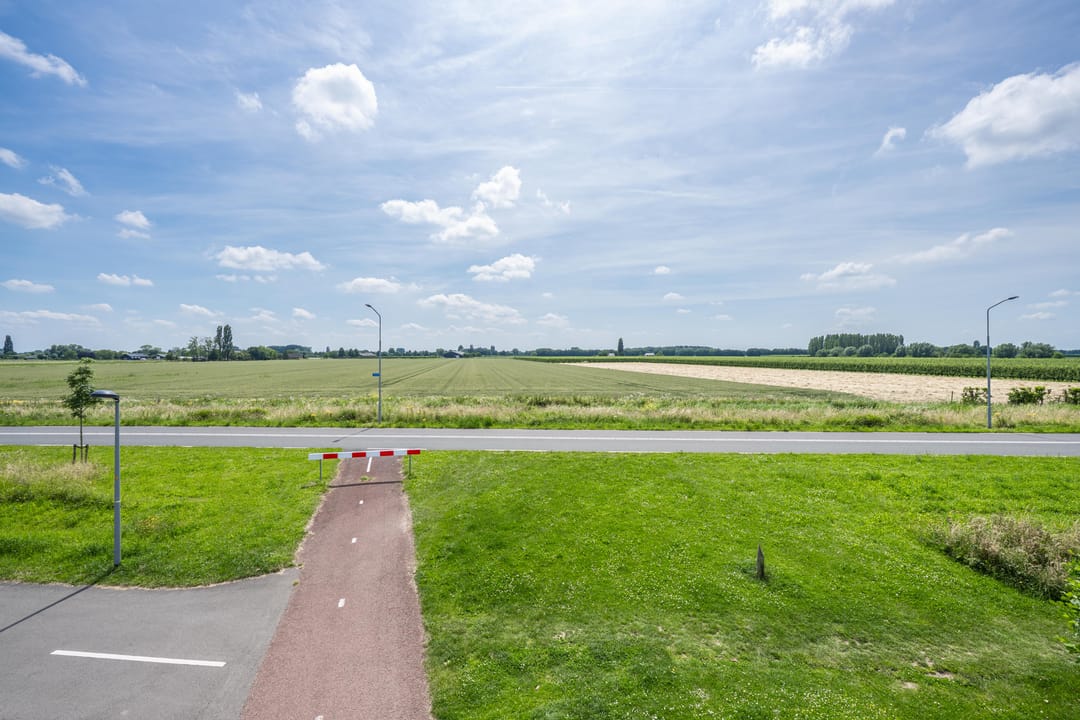 Foto 7 van Pimpernelblauwtje 13