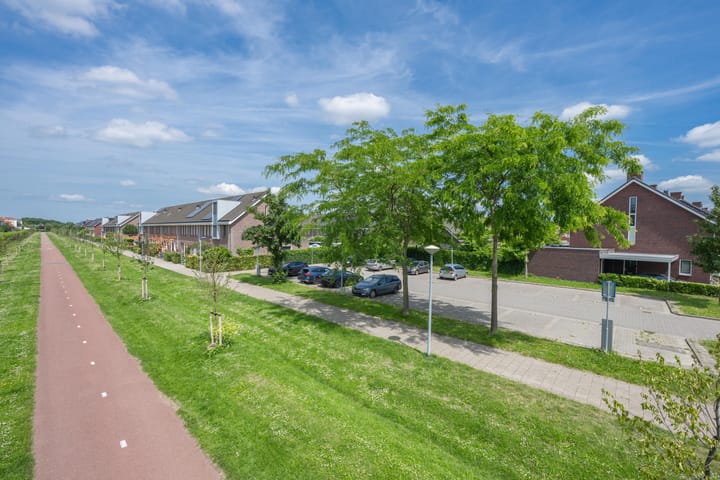Foto 5 van Pimpernelblauwtje 13