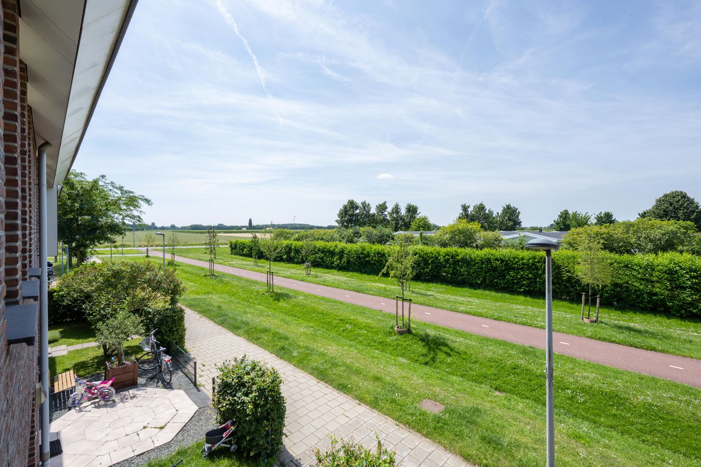 Foto 40 van Pimpernelblauwtje 13