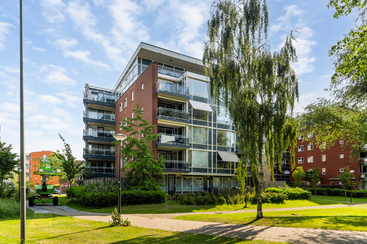 Dr Schaepmansingel 189