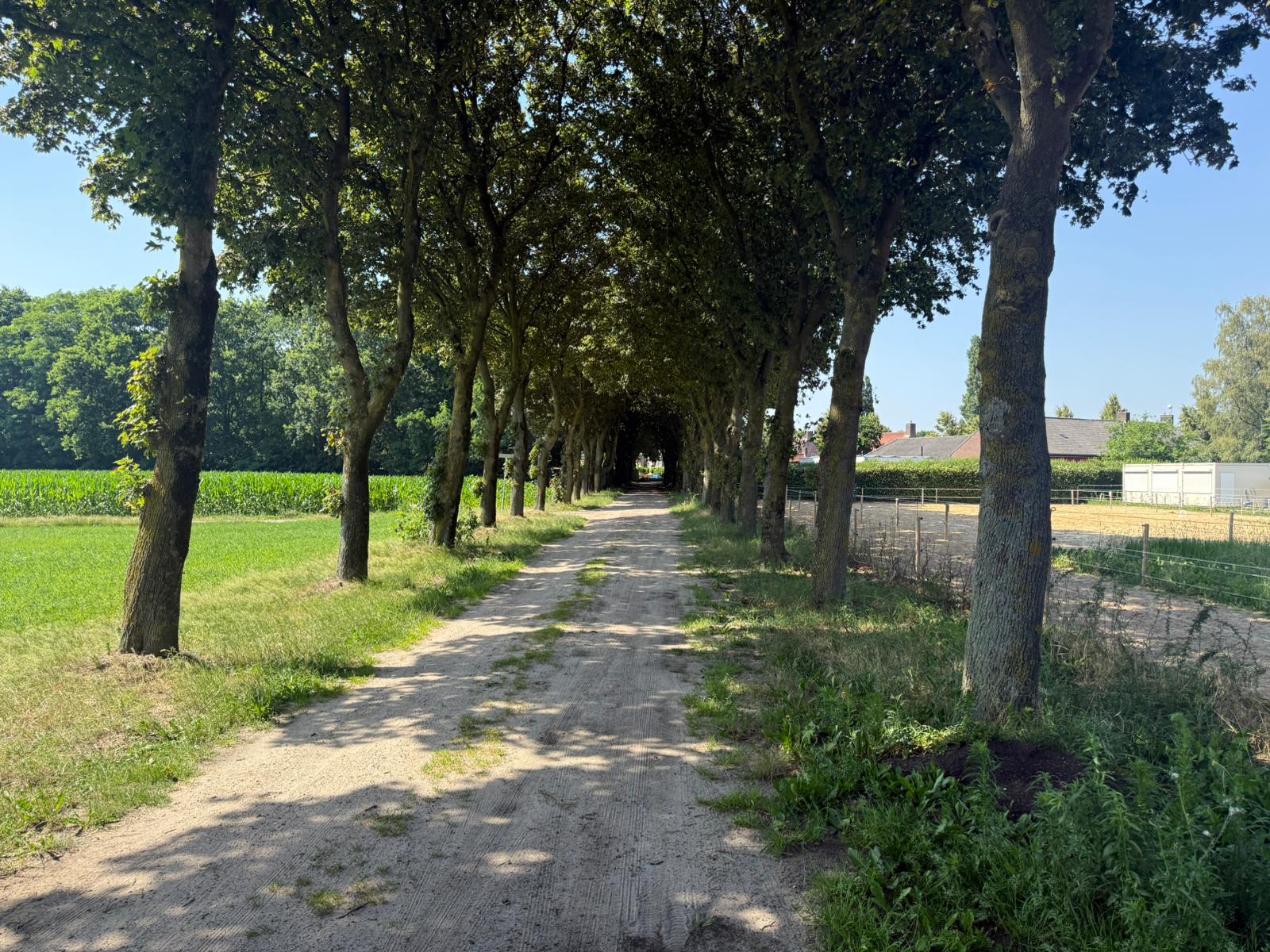 studio freehold villa in Alphen (NB) — photo 1 of 5