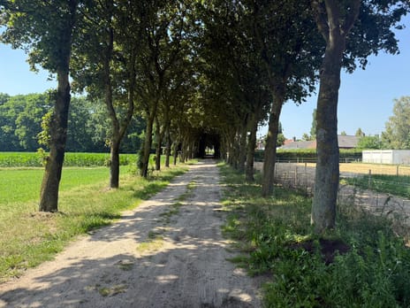 St. Janstraat thumbnail