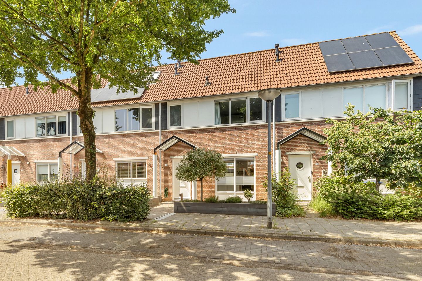 Foto 5 van Pauwoog 94