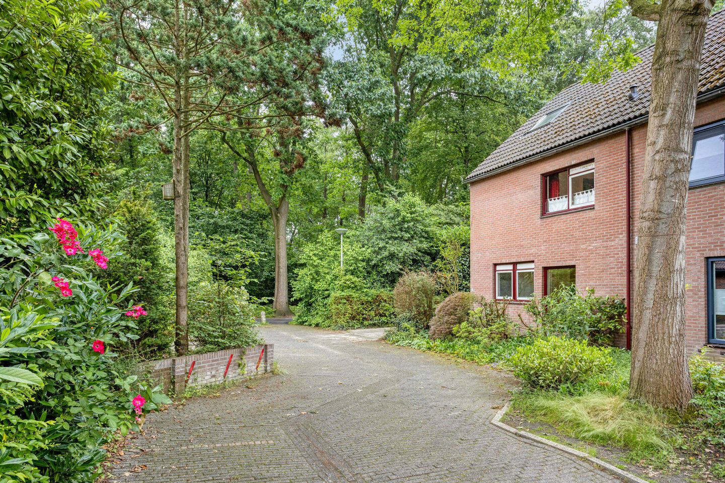 Foto 40 van Akkerwinde 17