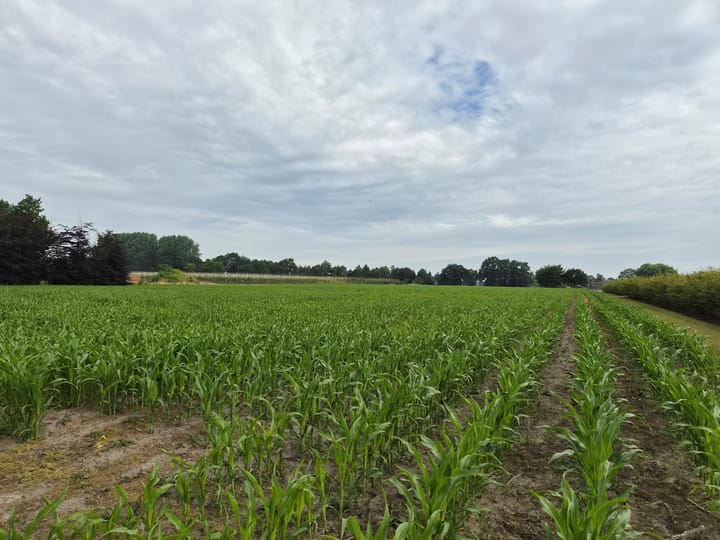 Kraatsweg, Bennekom