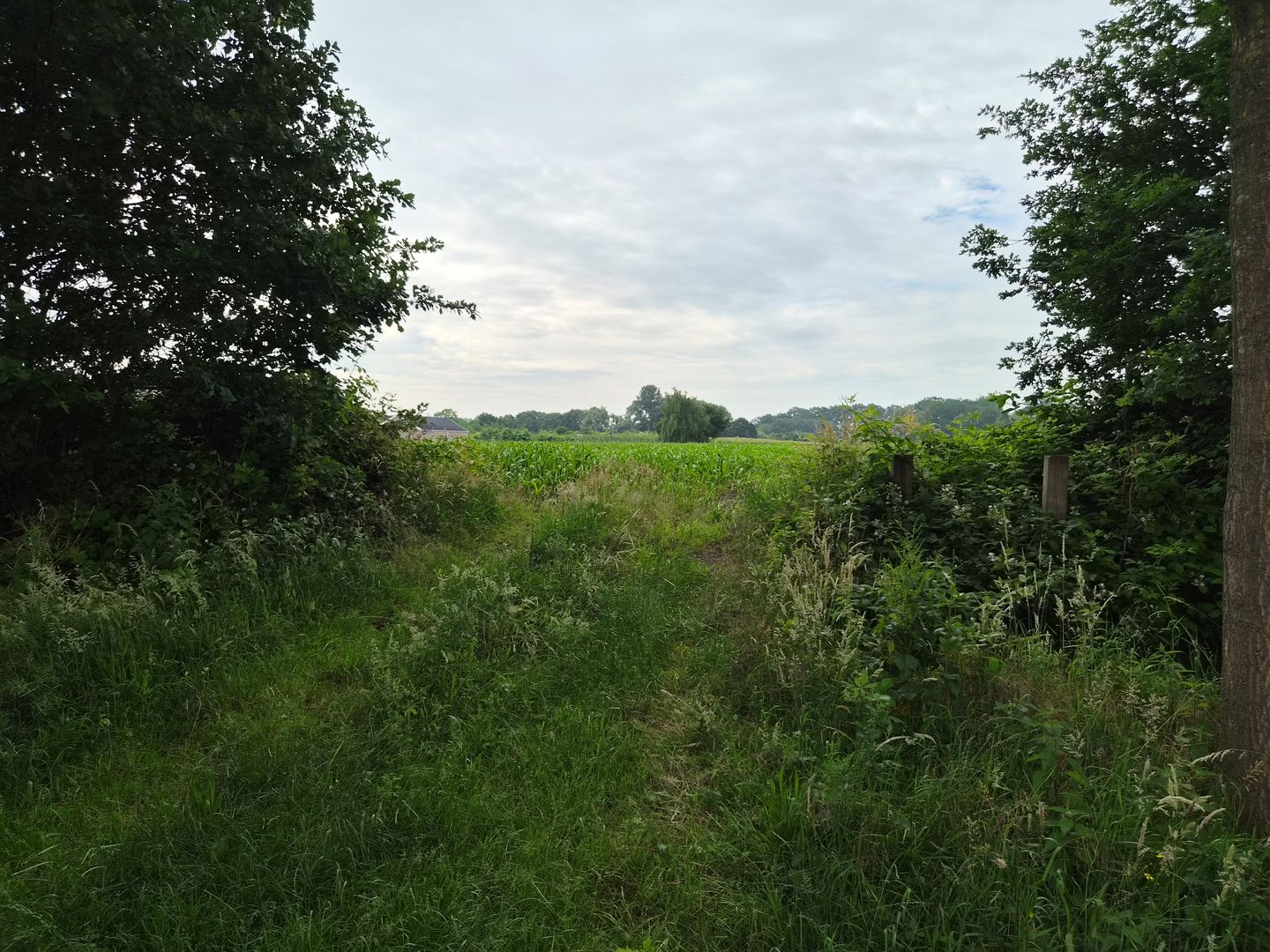 View photo 3 of Kraatsweg
