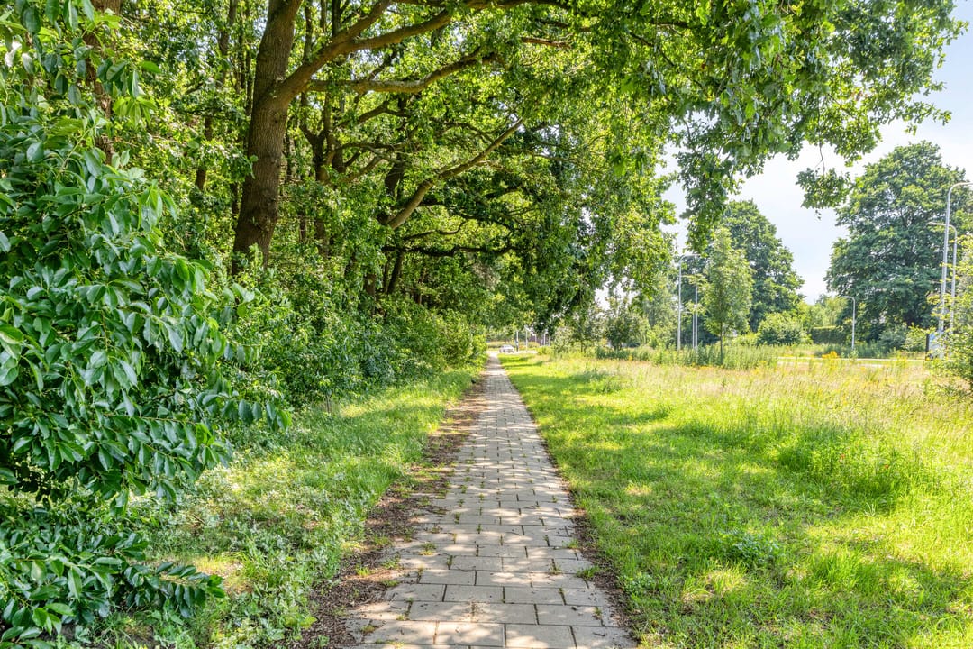 Photo 41 of Kralingenstraat 22