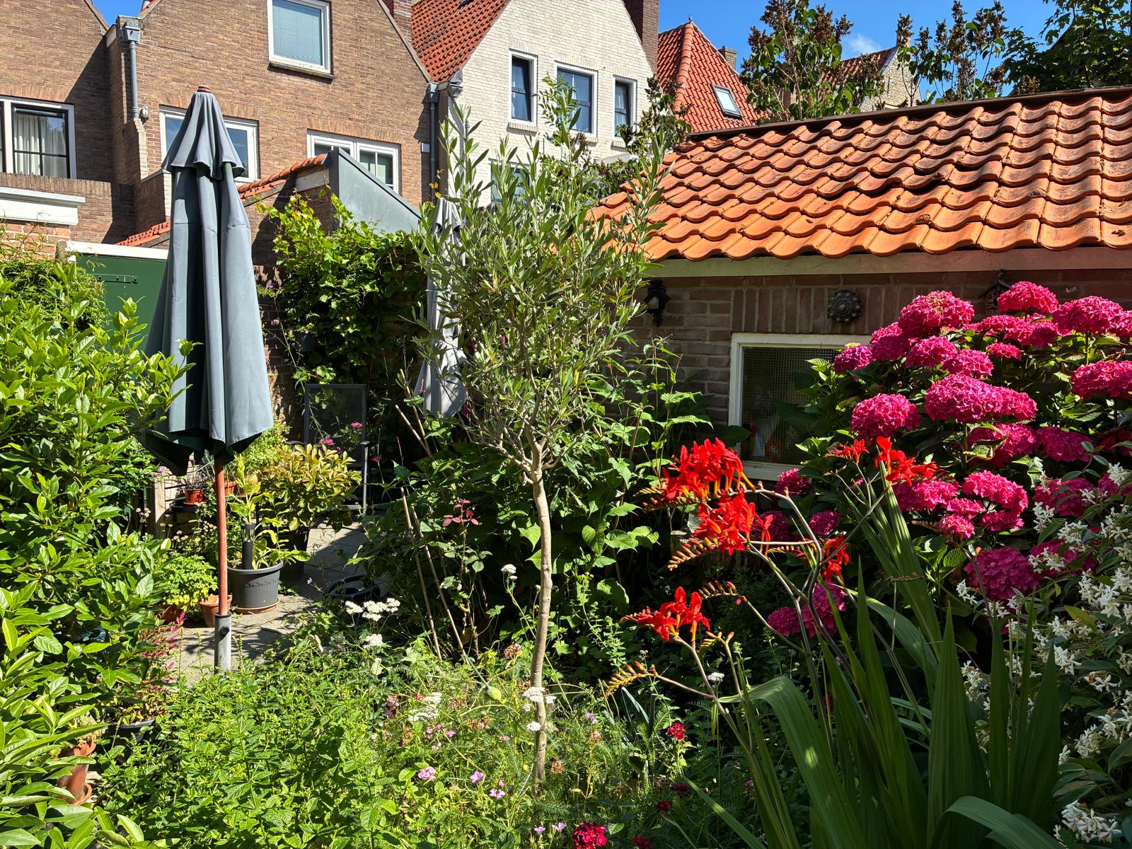 Photo 39 of Sint Pieterstraat 11