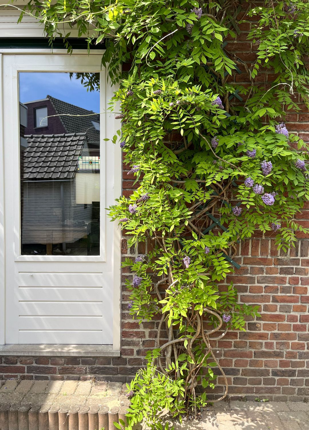 Foto 46 van Rijksweg 60